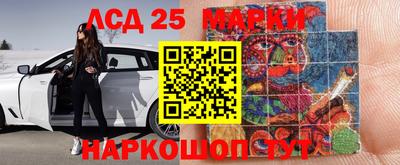 PSILOCYBIN Можга