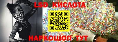 PSILOCYBIN Можга