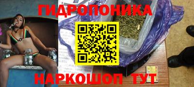 PSILOCYBIN Можга