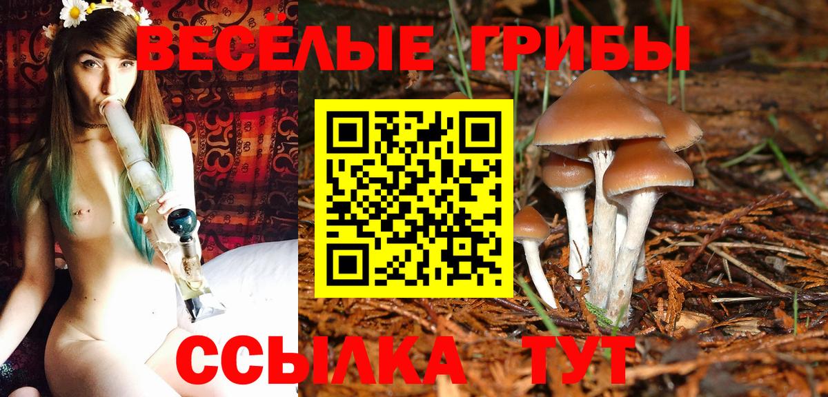 Галлюциногенные грибы Cubensis  Вход с VPN  Славянск-на-Кубани 